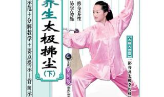 吴阿敏太极拂尘 吴阿敏太极拂尘