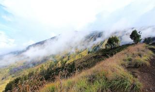 雨季开始了 雨季开始了