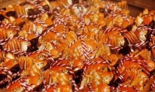 小鱼吃吃吃小游戏