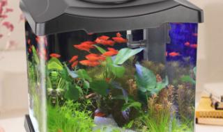 鱼缸恒温器 鱼缸恒温器