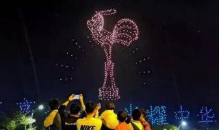 厦门金鸡奖电影节 厦门金鸡奖电影节