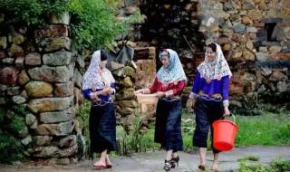 缤纷油彩系列都有啥