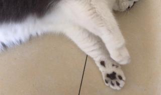 生化危机6完美存档