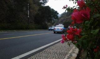 自驾游厦门攻略 自驾游厦门攻略