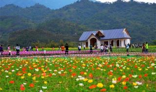 周边自驾游 周边自驾游