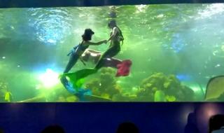 重庆欢乐海底世界