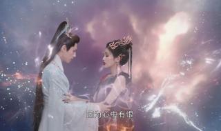 桑酒是苏苏的前世吗