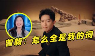 凤凰传奇曾毅的词多了 凤凰传奇曾毅的词多了