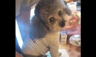 我要出去玩 我要出去玩