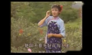 韩再芬黄梅戏小辞店