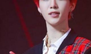 鹿晗上海演唱会红发