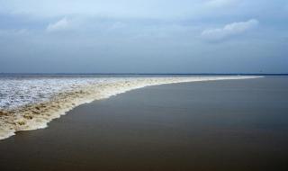 钱塘江涨潮时间