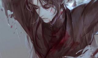 二哈的白猫师尊电视剧 二哈的白猫师尊电视剧