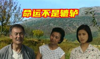 辘轳女人和井插曲