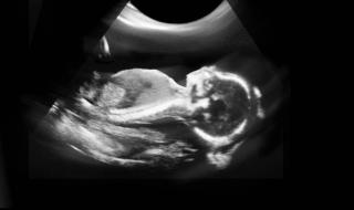 在家可以做什么赚钱 在家可以做什么赚钱