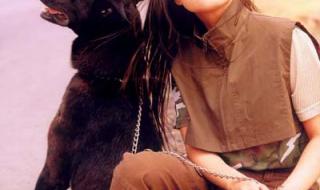 铿锵玫瑰田震歌词