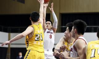 cba最新积分榜排名榜