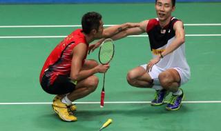 世界羽联名人堂林丹 世界羽联名人堂林丹