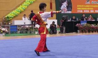 上一届全运会是哪一年 上一届全运会是哪一年