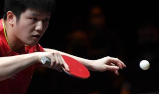 2021wtt世界杯总决赛